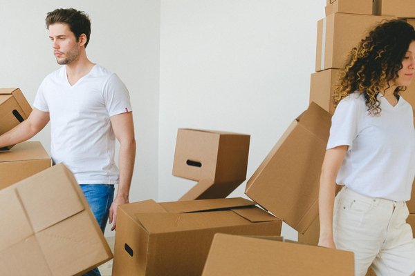 Top 5 scies circulaires castorama : avis et comparatif 2025